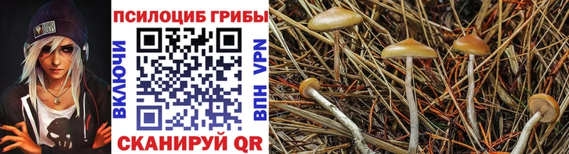 Галлюциногенные грибы MAGIC MUSHROOMS  магазин    Мариинск 